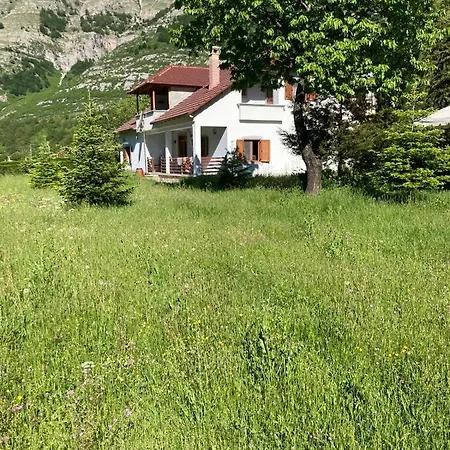 Paja - Guest house *