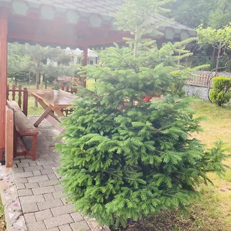 Paja - Guest house Boge
