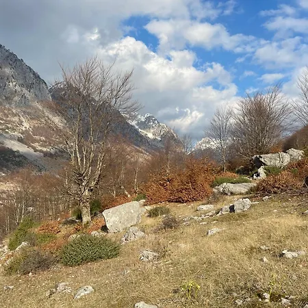 Paja - Πανσιόν Boge