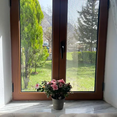 Paja - Πανσιόν Boge