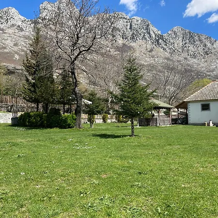 Paja - Πανσιόν