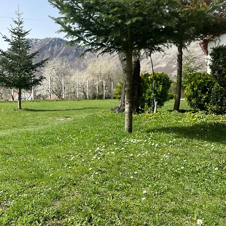 Paja - Guest house *