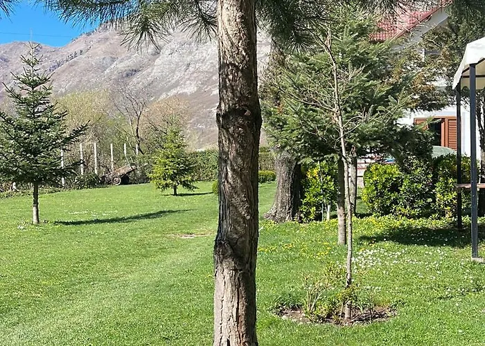 Paja - Boge
