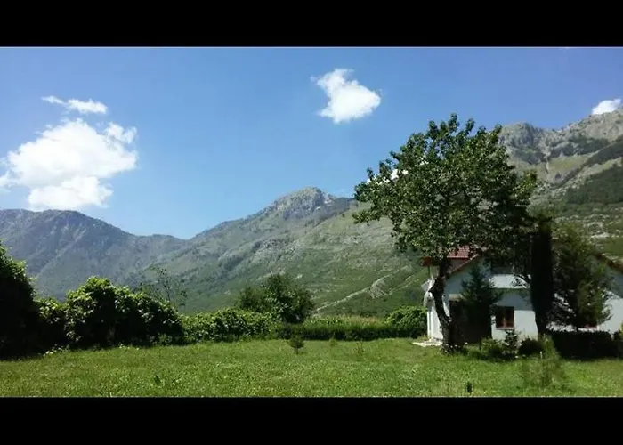 Paja - Boge