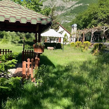 Paja - Bogë