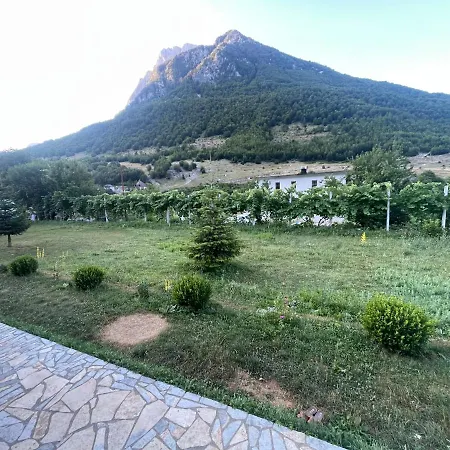 Paja - * Boga