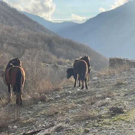 Paja - Affittacamere