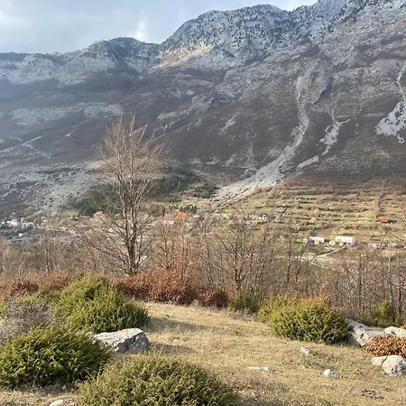 Paja - * Bogë