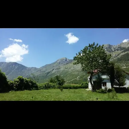 Paja - Bogë
