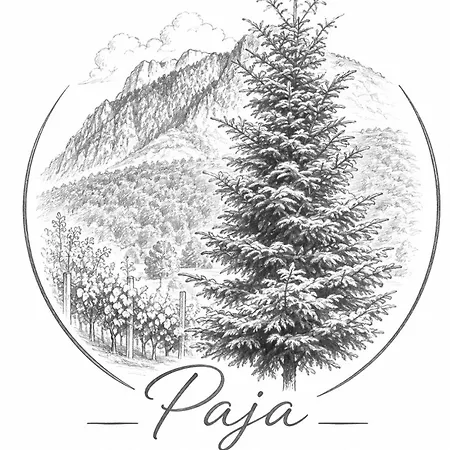 Paja - * Boga