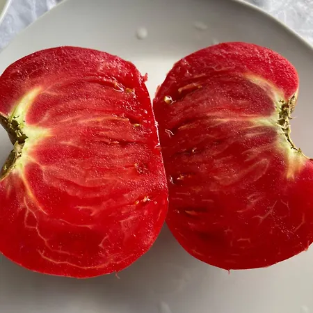 Paja - Vendégház