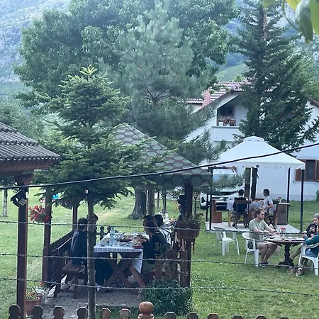 Paja - * Boga