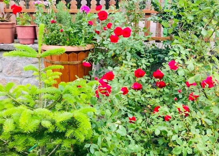 Vendégház Paja - *