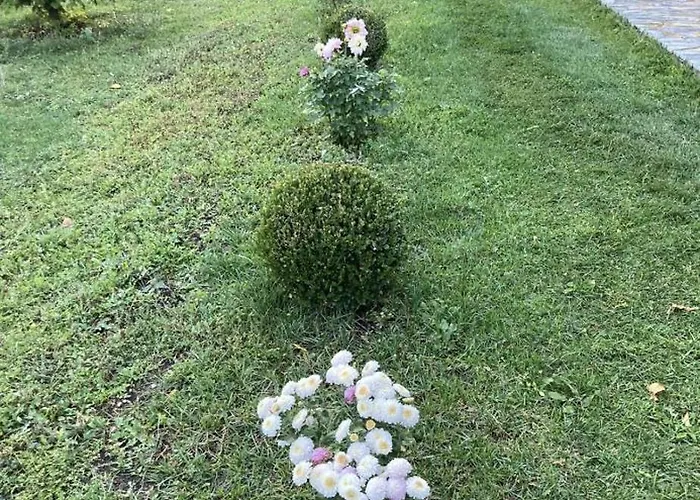 Paja - Affittacamere Boge