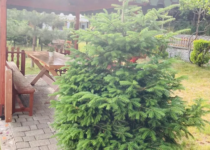 Paja - Affittacamere Boge