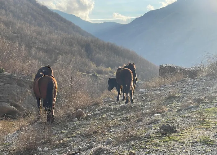 Paja - Affittacamere