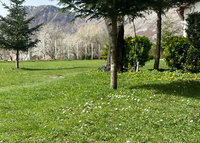 Paja - Affittacamere *