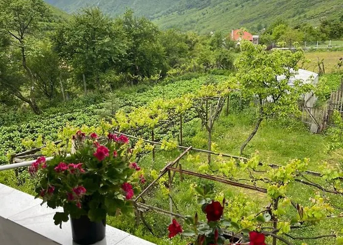 Paja - Affittacamere *